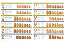 Almond Processors and Suppliers | Almond Industry - almond supplier