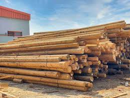 Best Wood Manufacturers in Dubai, UAE | Wood Suppliers - timber supplier
