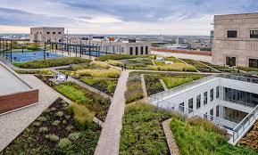 Columbia Green Technologies, Green Roof, Vegetated Roof, Extensive ... - green roofing supplier