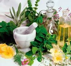 Herbal Extracts Manufacturer & Supplier| Botanical Extracts - botanical extracts supplier from india