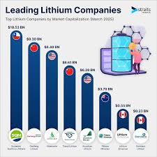 What are the top 5 largest lithium companies in the world? - largest supplier of lithium