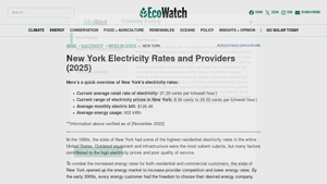 Compare Electricity Rates in New York (July 2025) - EcoWatch - energy suppliers nyc