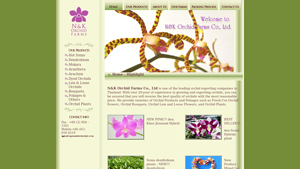 N & K Orchid Farms Co.,Ltd : Orchid Exporter From Thailand, Fresh Cut ... - bulk live plants supplier in thailand