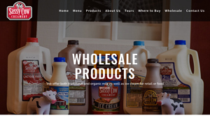 Wholesale | Sassy Cow Creamery - wholesale ice cream suppliers
