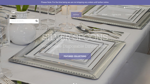 Silver Spoons: Wholesale Disposable Party Goods & Dinnerware Sets - disposable tableware supplier