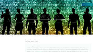 What is Supplier Diversity and Why is it Important? [2025] - Simfoni - diverse supplier