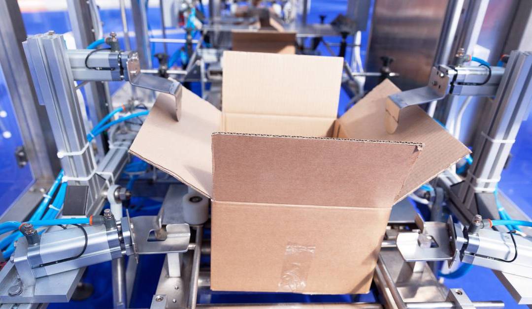 carton packing machine industrial application