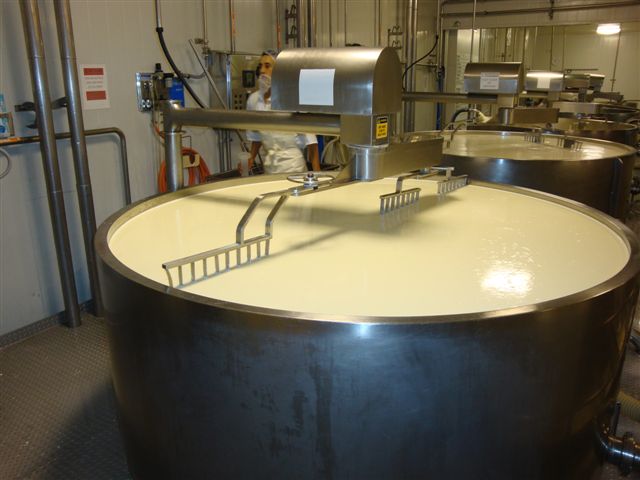 cheese making vat equipment
