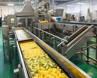 food processing machine industrial application