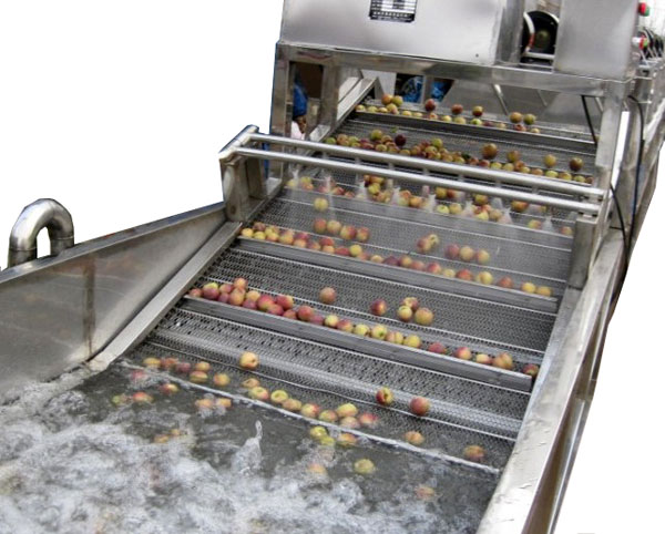 fruit washing machine equipment