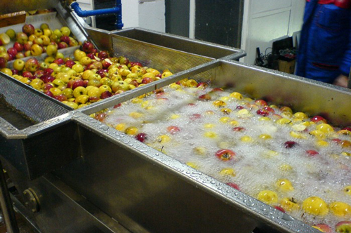 fruit washing machine industrial application