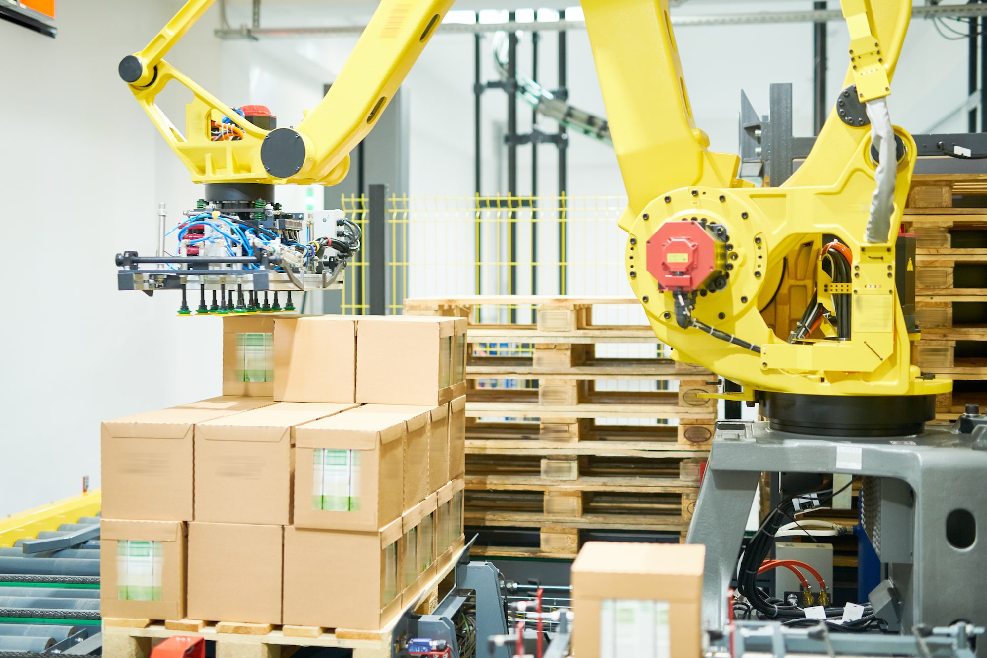palletizer industrial application