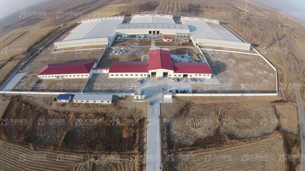 Beijing Dahong Hengfeng Animal Husbandry Technology Co., Ltd.