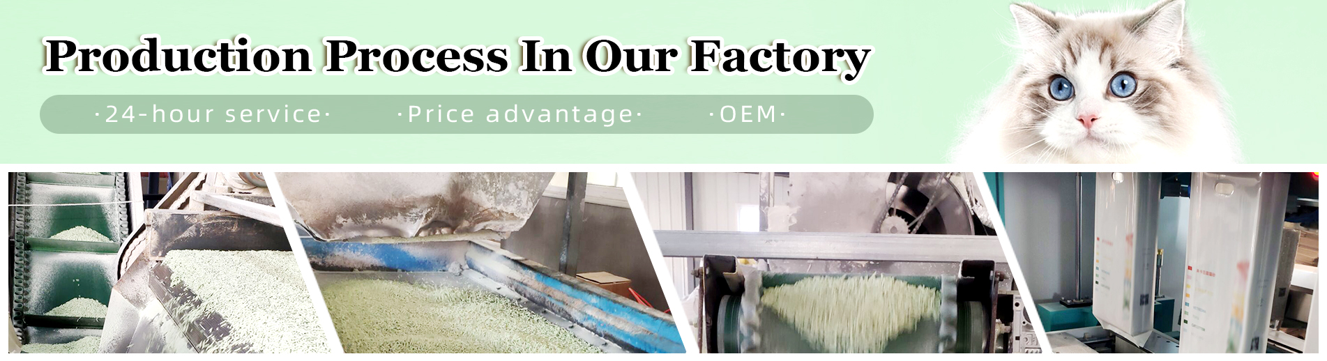 Cat litter manufacturers, fish food suppliers, bird food factory β Green pet care
