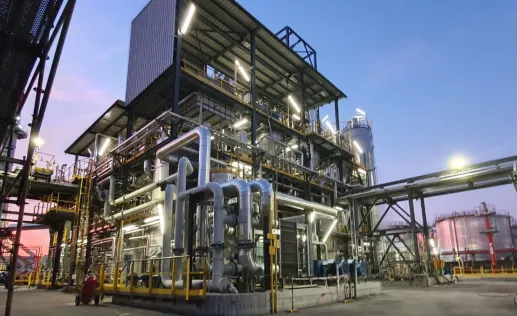 Desmet - Food, Feed & Biofuel industries