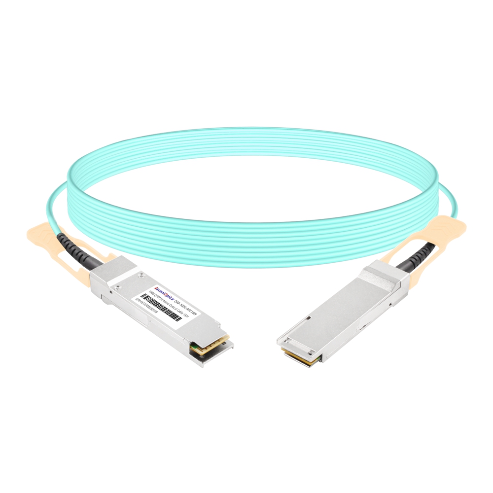 Fiber NIC Card | Passive Products | DAC/AOC Cables